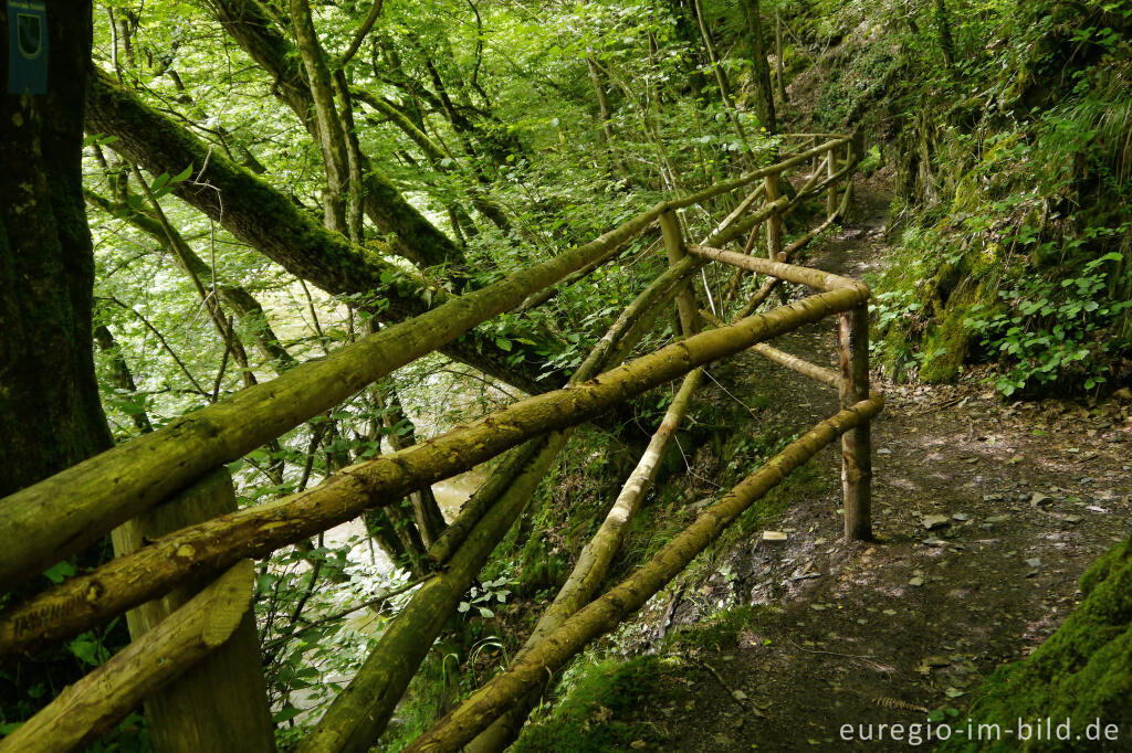 Wanderweg entlang der Our zwischen Dasburg und Tintesmühle