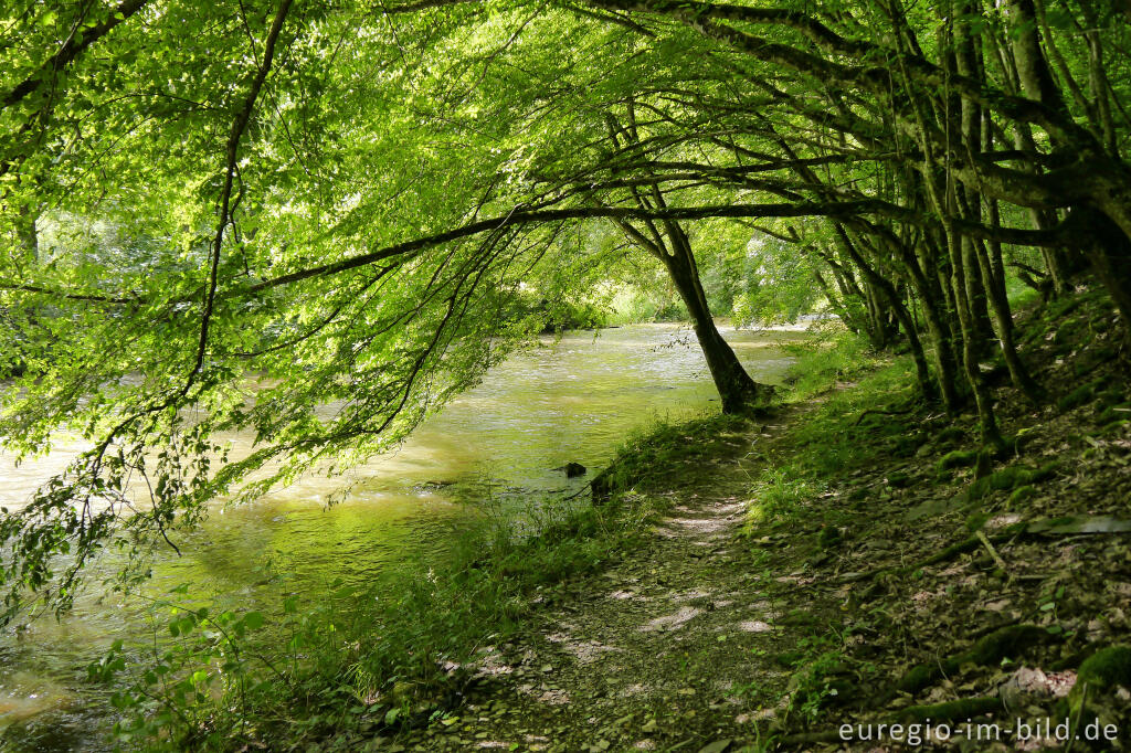 Wanderweg entlang der Our zwischen Dasburg und Tintesmühle