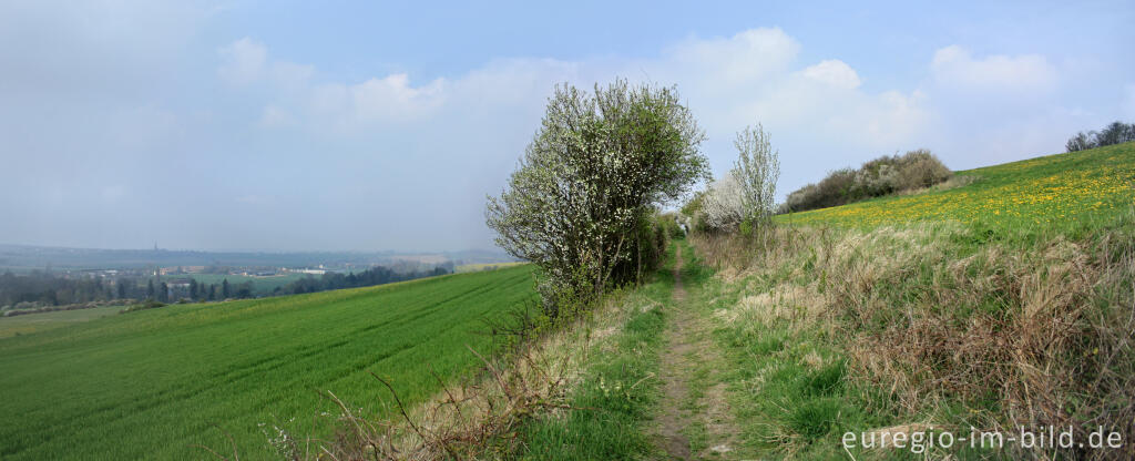 Detailansicht von Wanderweg Grenzroute 1 bei Orsbach (Aachen), Panoramafoto