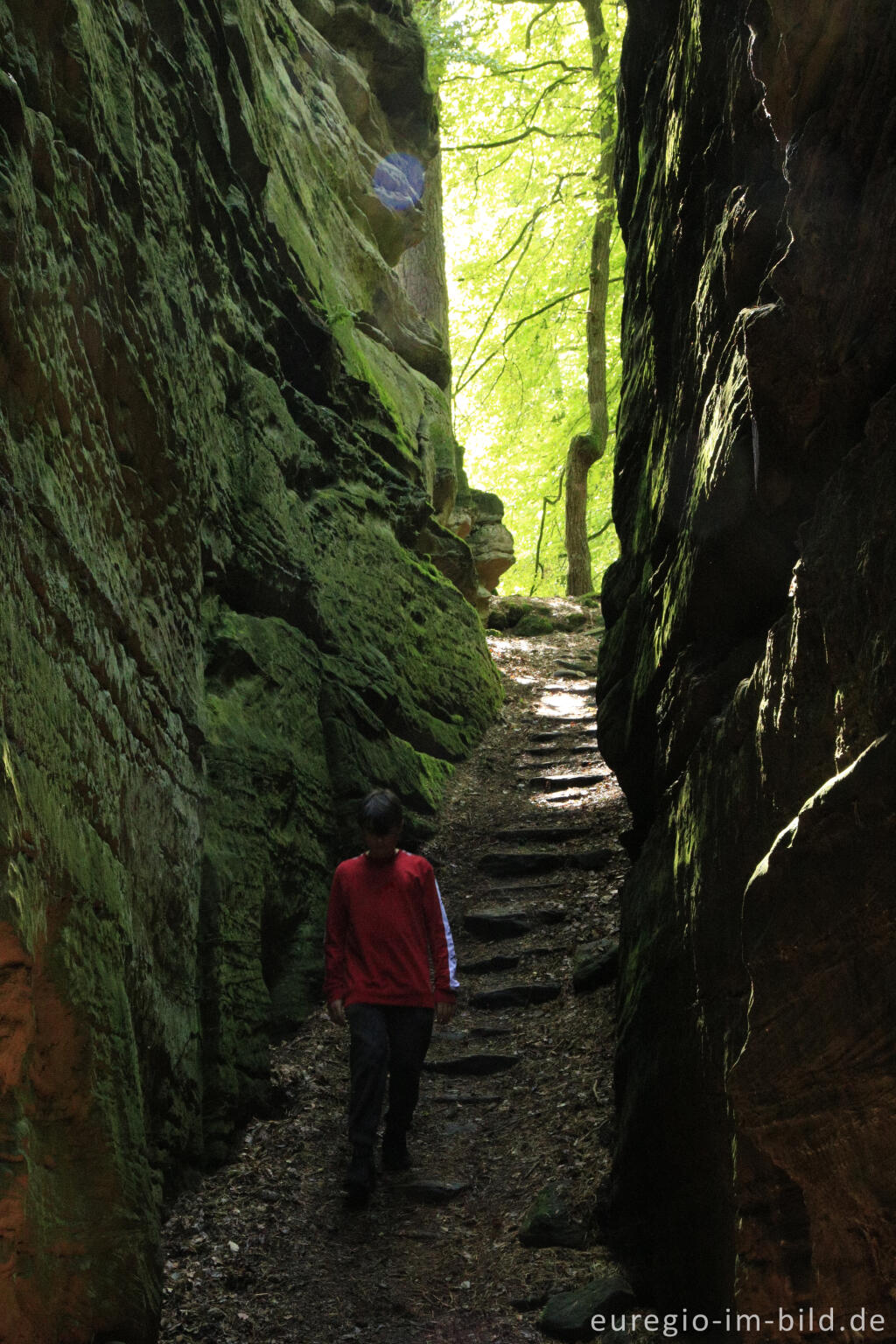 Detailansicht von Wanderweg "Grüne Hölle", Südeifel