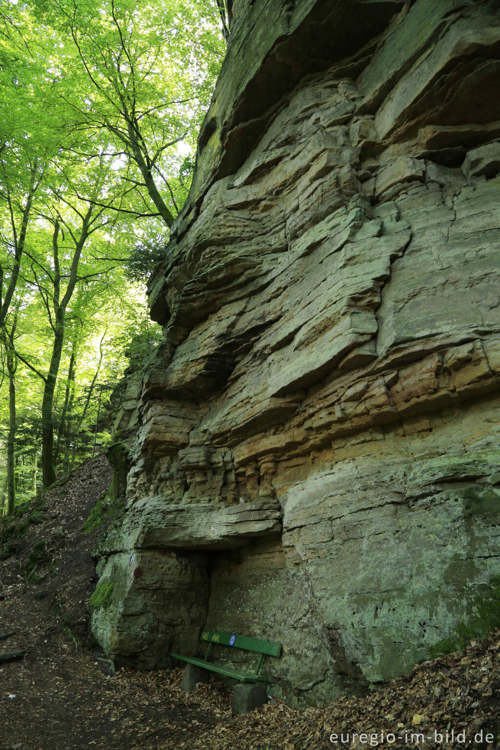 Detailansicht von Wanderweg "Grüne Hölle", Südeifel