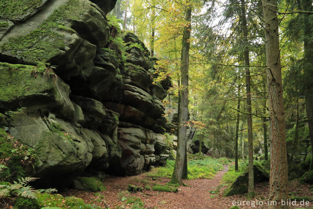 Detailansicht von Wanderweg "Grüne Hölle", Südeifel