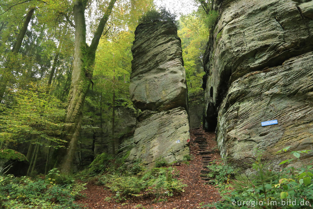 Detailansicht von Wanderweg "Grüne Hölle", Südeifel