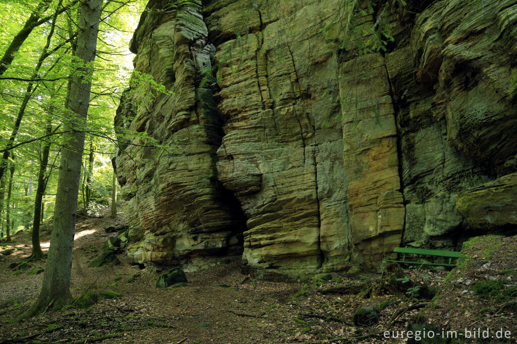 Detailansicht von Wanderweg "Grüne Hölle", Südeifel