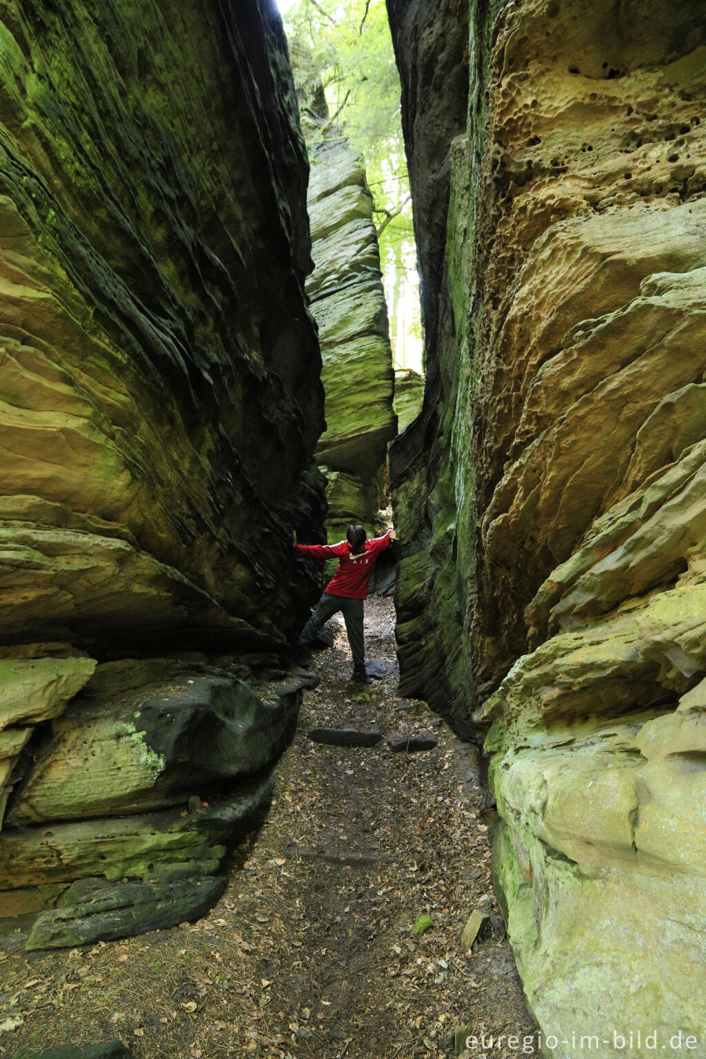 Detailansicht von Wanderweg "Grüne Hölle", Südeifel