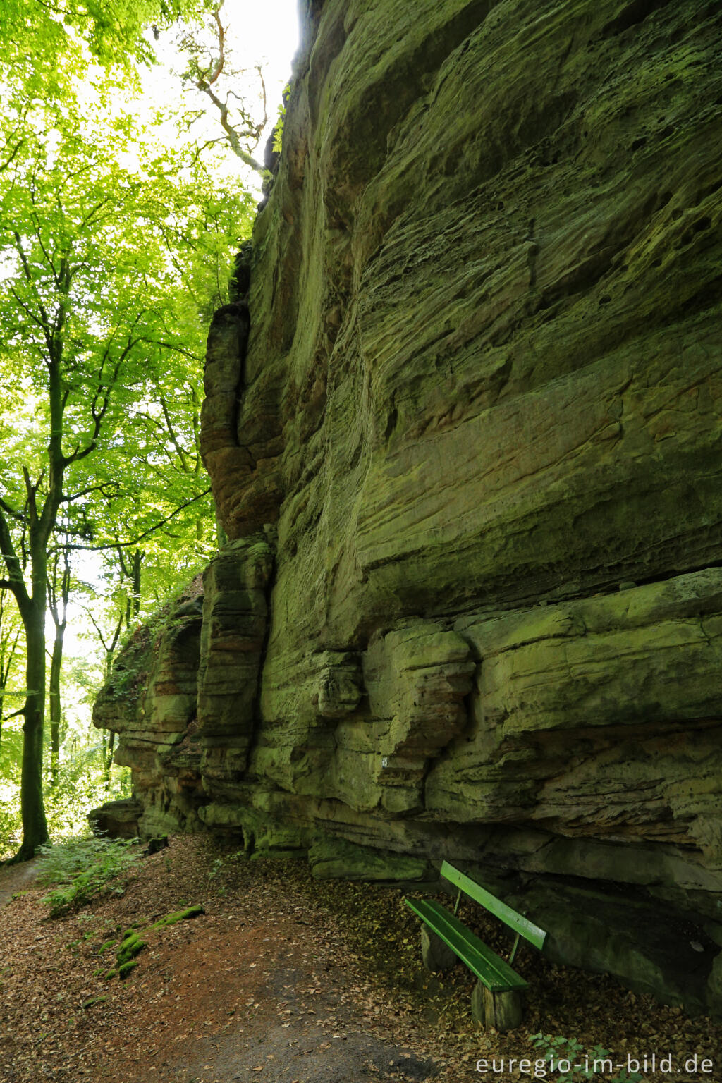 Detailansicht von Wanderweg "Grüne Hölle", Südeifel