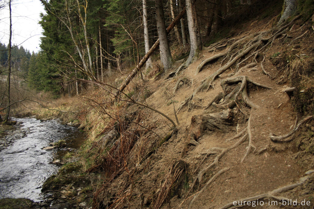 Wanderweg im Fuhrtsbachtal in der Eifel