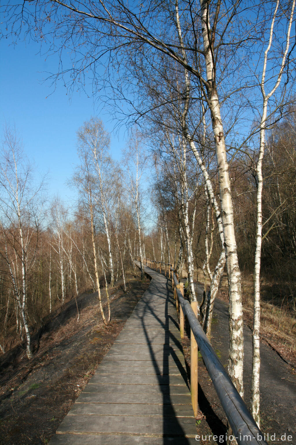 Detailansicht von Wanderweg im Grube-Adolf-Park bei Herzogenrath-Merkstein