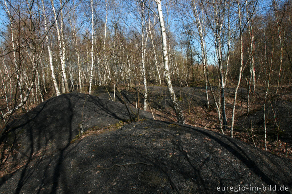 Detailansicht von Wanderweg im Grube-Adolf-Park bei Herzogenrath-Merkstein