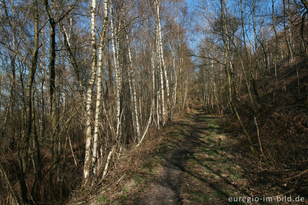 Detailansicht von Wanderweg im Grube-Adolf-Park bei Herzogenrath-Merkstein