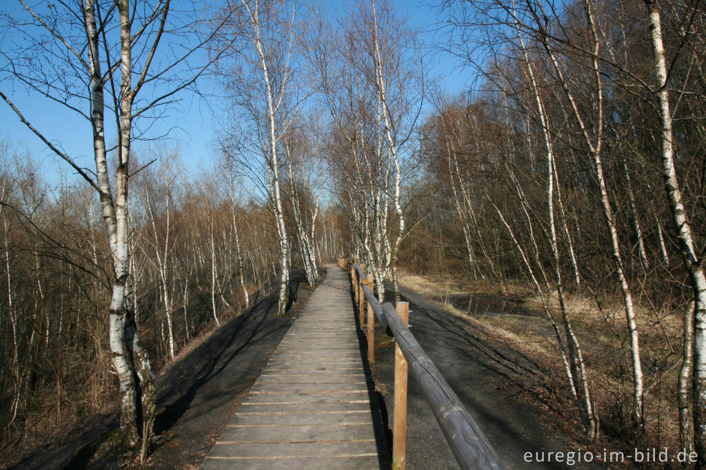 Detailansicht von Wanderweg im Grube-Adolf-Park bei Herzogenrath-Merkstein