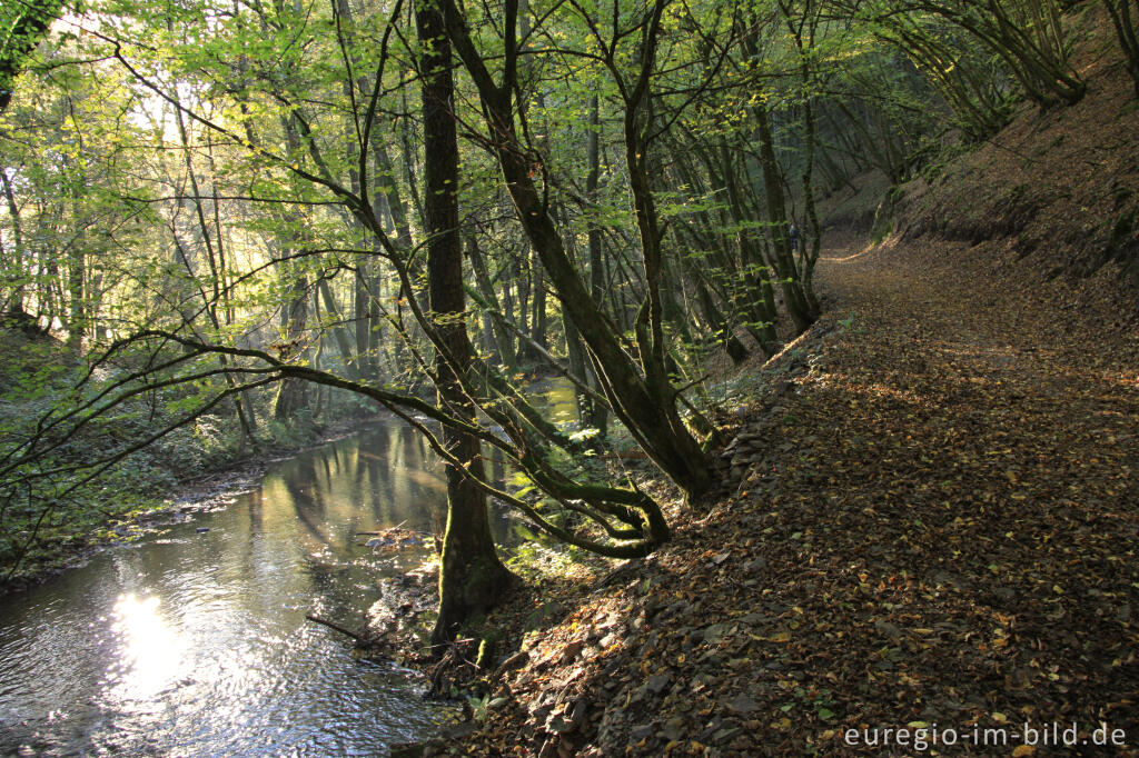 Detailansicht von Wanderweg im hebstlichen Salmtal