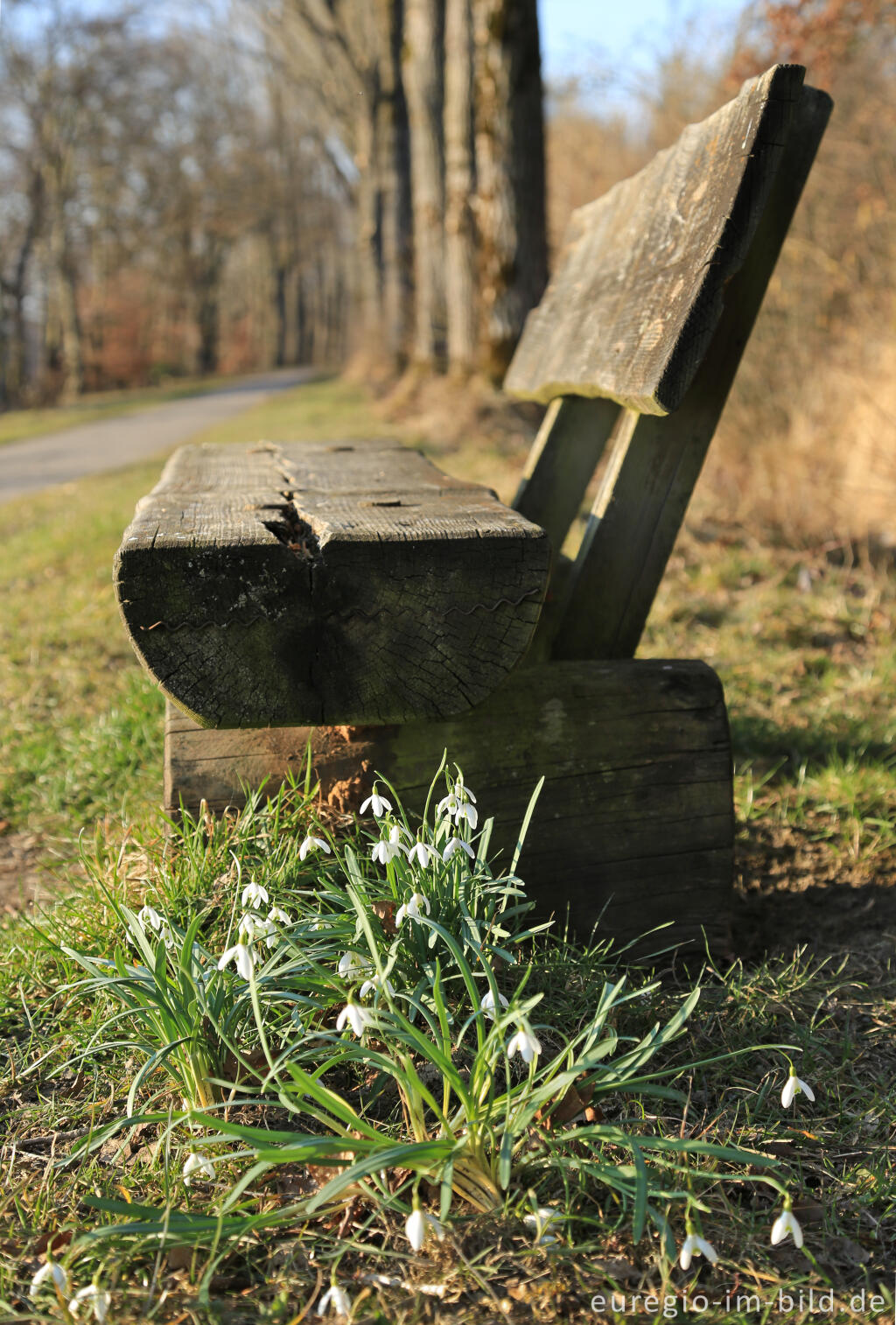 Detailansicht von Wanderweg im Tal der Weser / Vesdre bei Roetgen