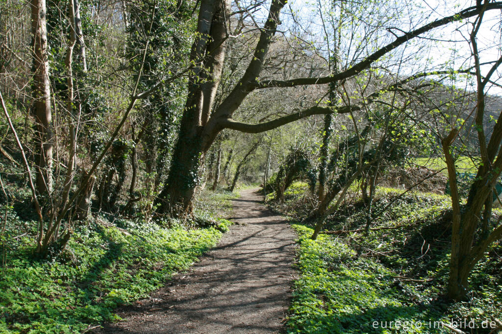 Detailansicht von Wanderweg in Grube-Adolf-Park bei Plitschard