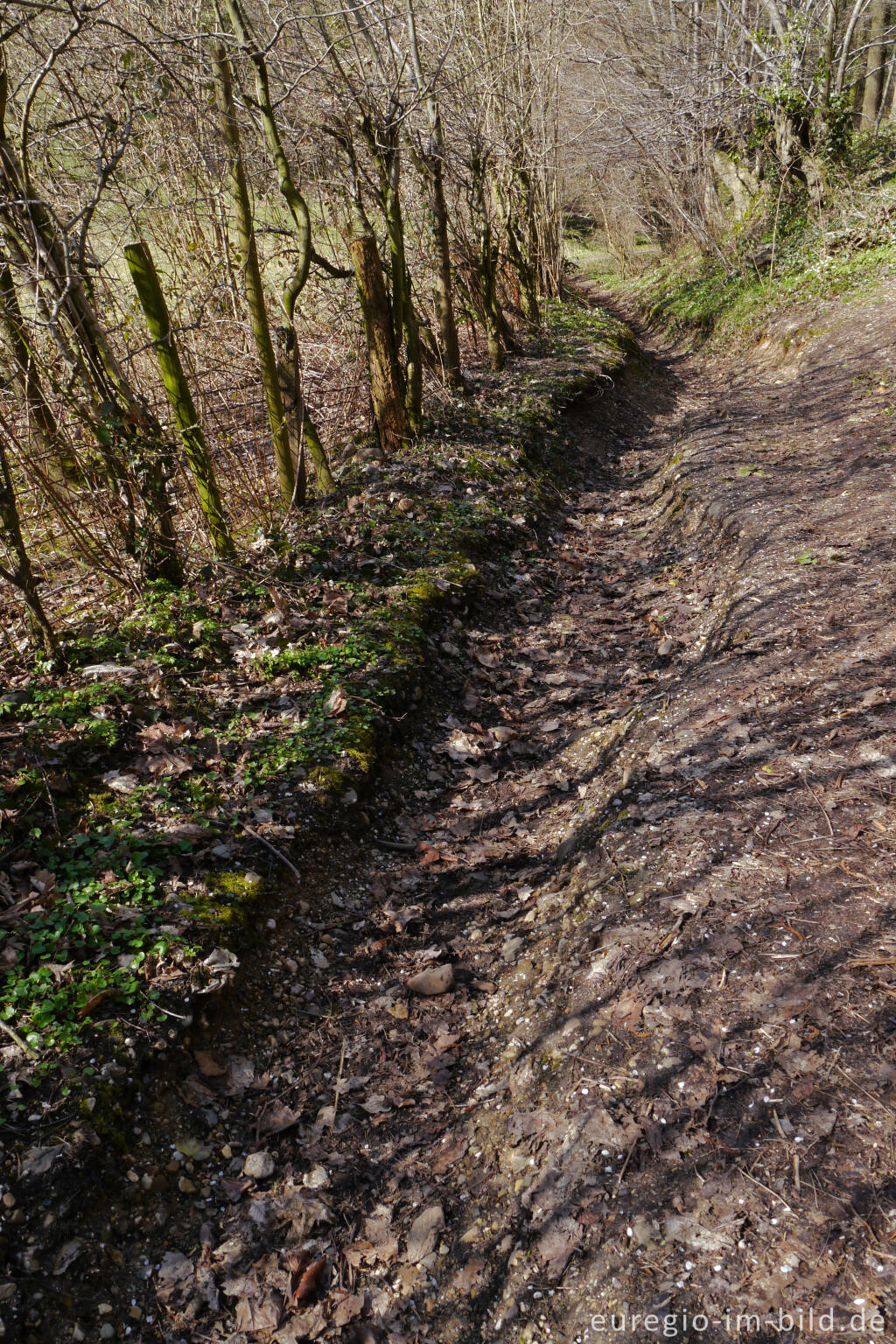 Detailansicht von Wanderweg, manchmal eher Bach ...