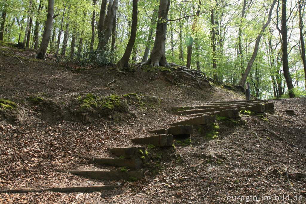 Detailansicht von Wanderweg mit Treppe, Hambos bei Kerkrade, NL