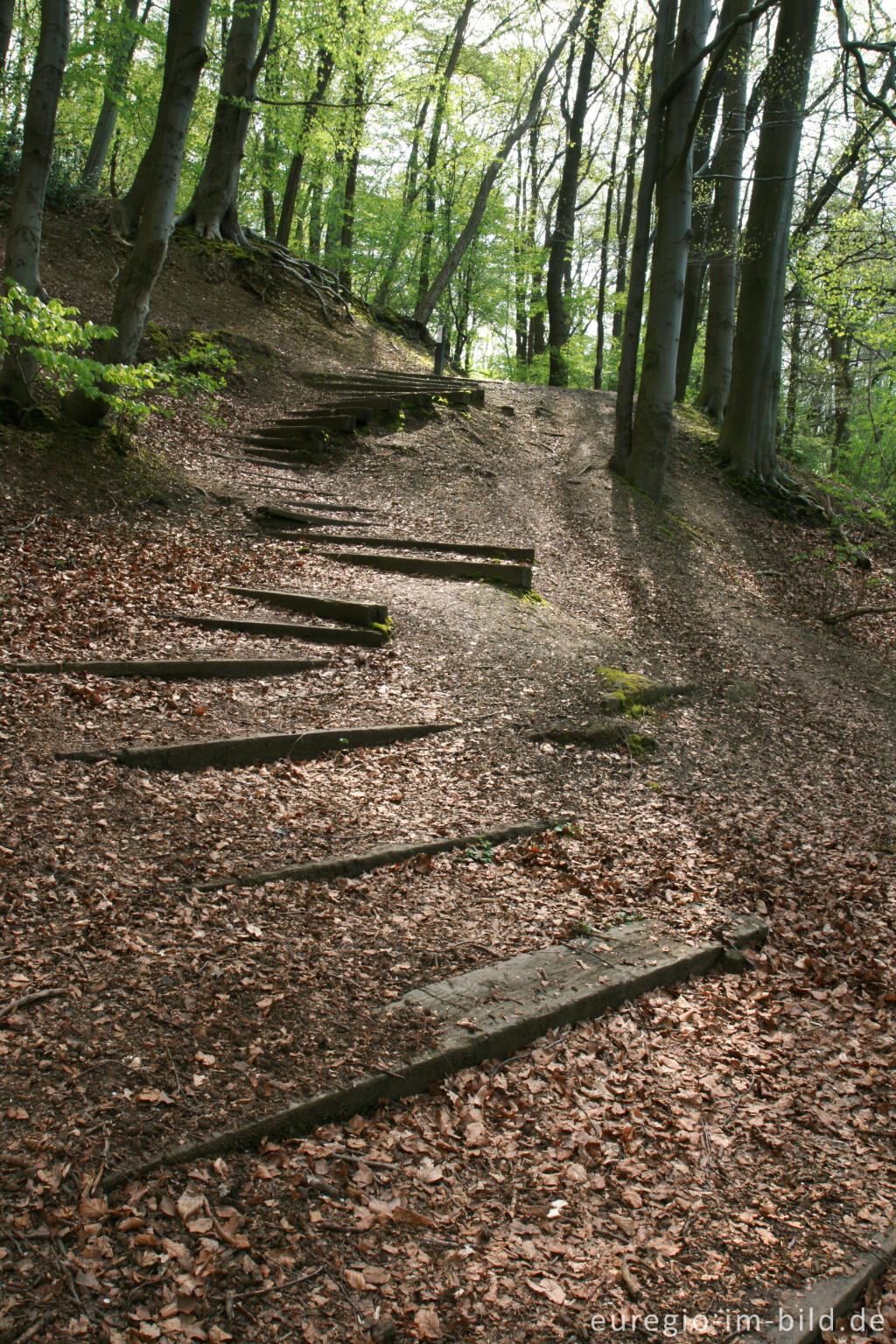 Detailansicht von Wanderweg mit Treppe, Hambos bei Kerkrade, NL