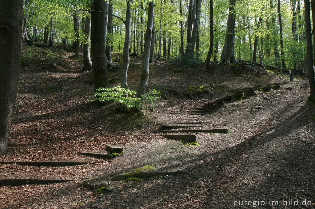 Detailansicht von Wanderweg mit Treppe, Hambos bei Kerkrade, NL