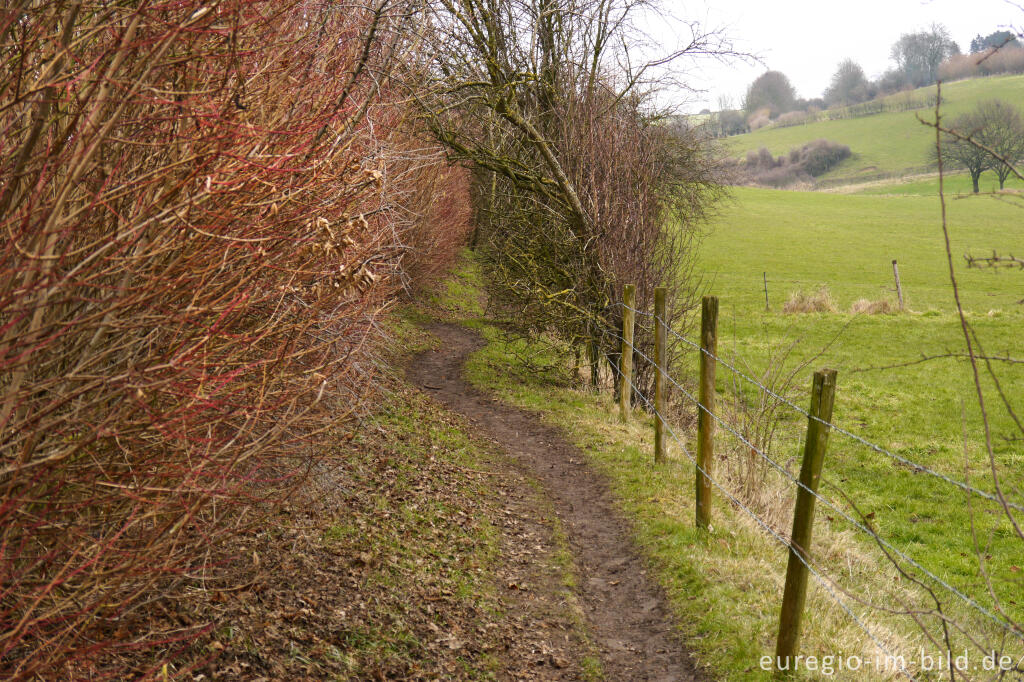 Wanderweg nördlich von Eys