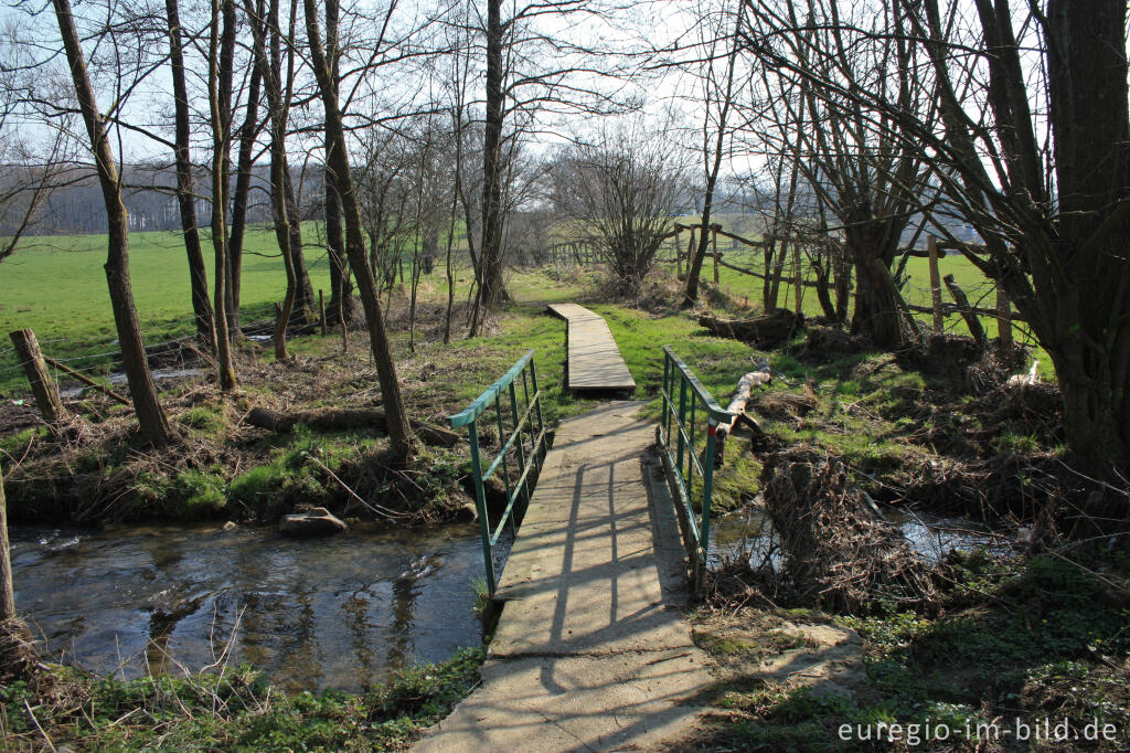 Detailansicht von Wanderweg nördlich von Lontzen