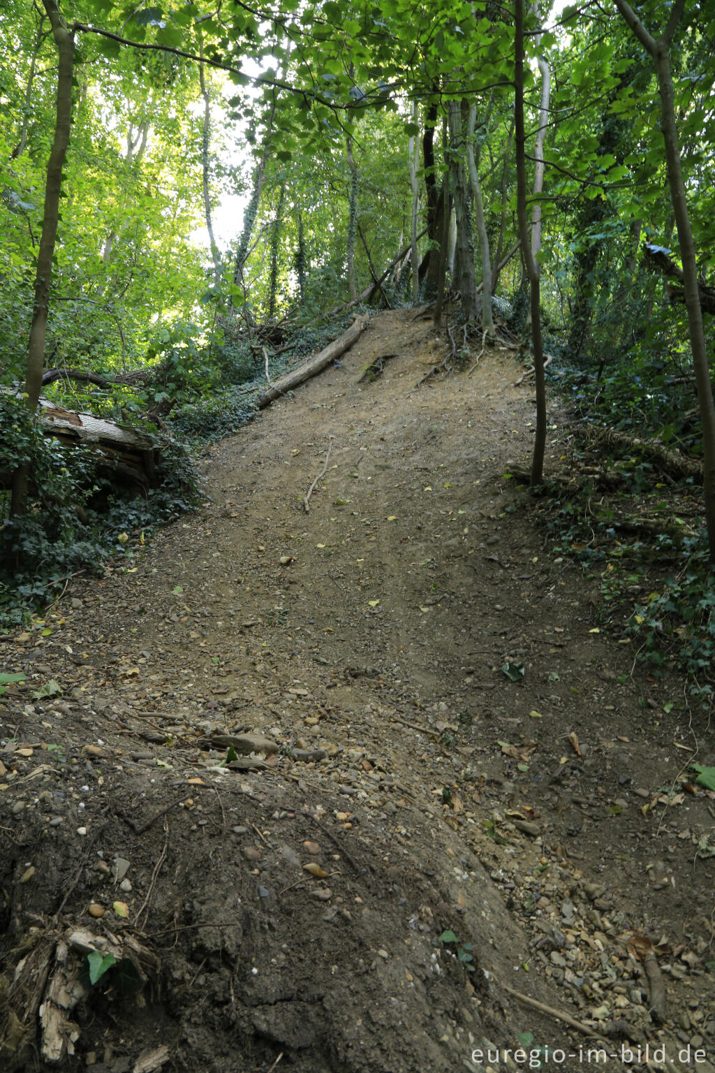 Detailansicht von Wanderweg,  Plateau von Caestert, südwestlich von Maastricht