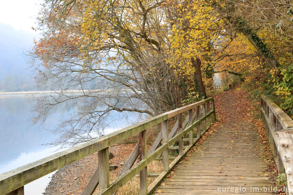 Detailansicht von Wanderweg rund um die Stauanlage Heimbach