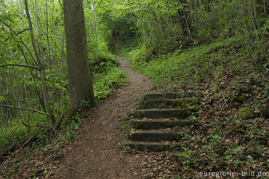 Detailansicht von Wanderweg und Treppe am Auberg, Naturschutzgebiet Gerolsteiner Dolomiten