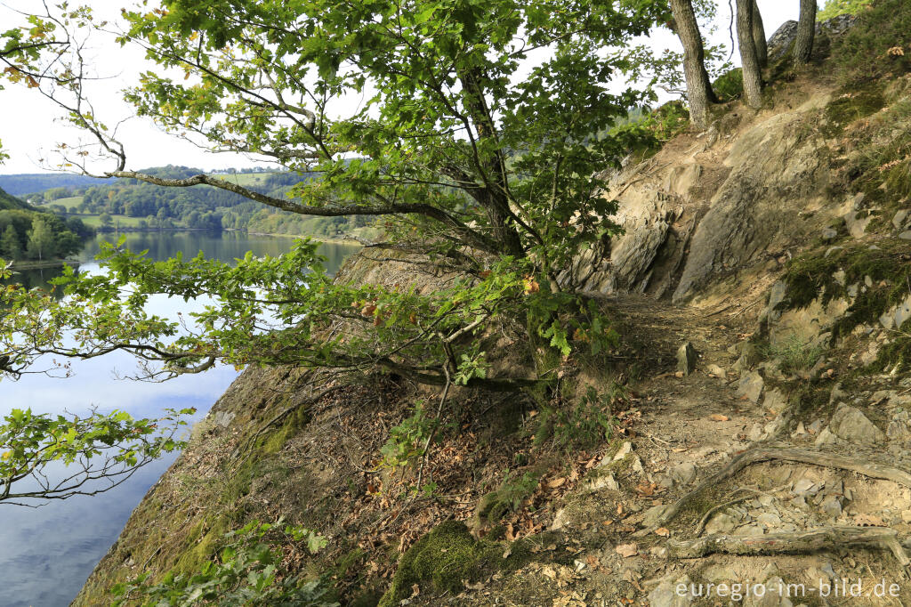 Detailansicht von Wanderweg zwischen Einruhr und Rursee