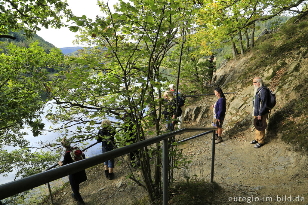 Detailansicht von Wanderweg zwischen Einruhr und Rursee