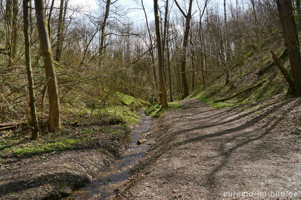 Detailansicht von Wanderweg zwischen Elsloo und Geulle (Maastal), NL