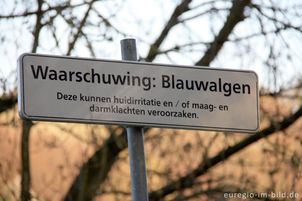 Detailansicht von Warnung vor Blaualgen, Cranenweyer bei Kerkrade, NL