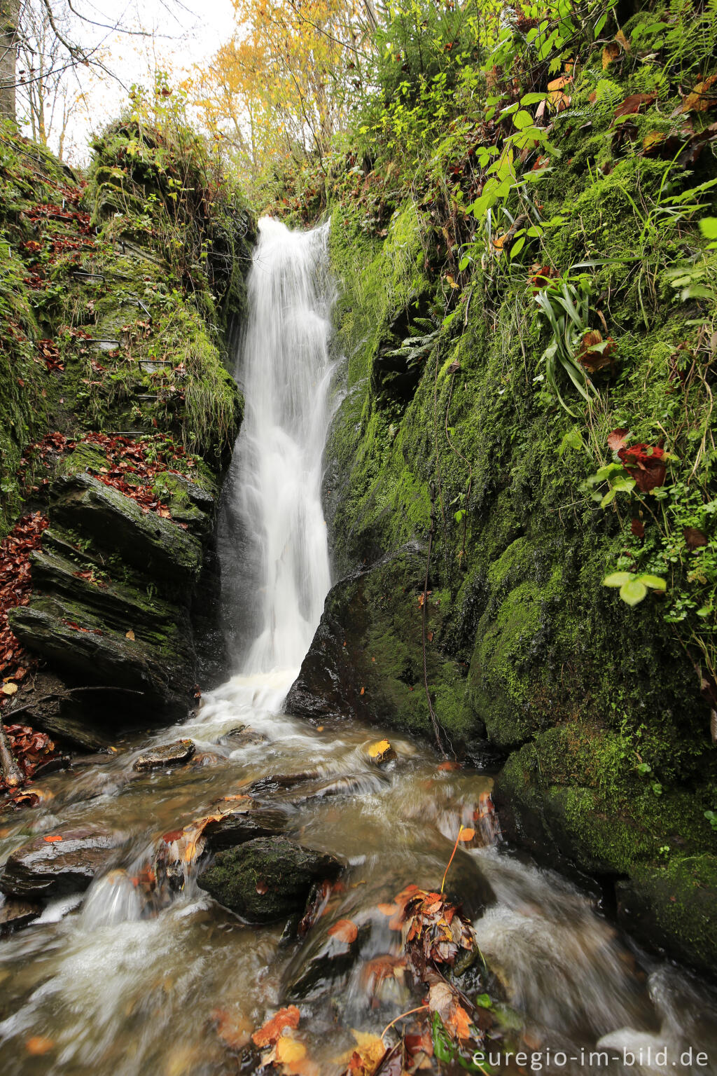 Wasserfall bei Burg Reinhardstein im Tal der Warche