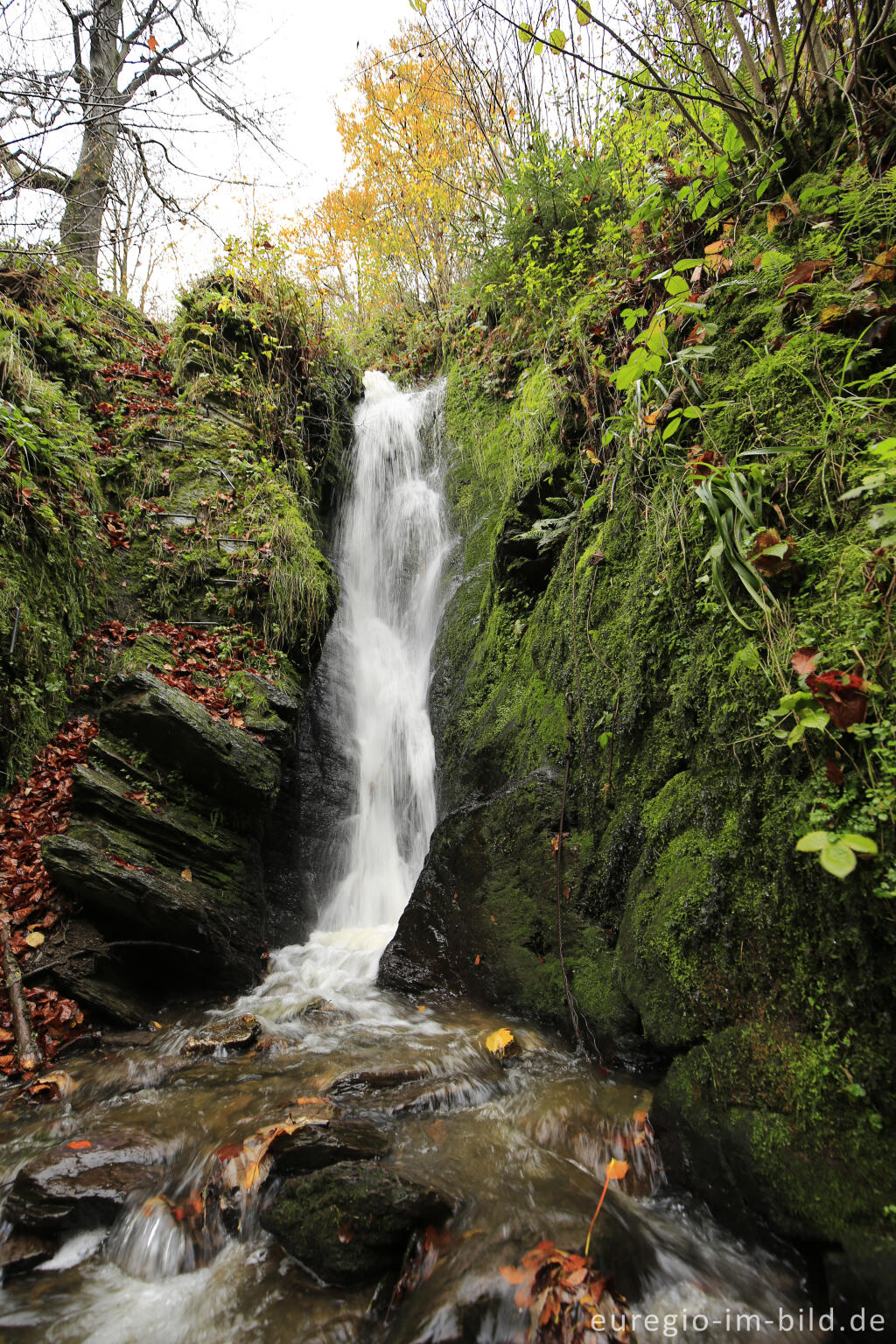 Detailansicht von Wasserfall bei Burg Reinhardstein im Tal der Warche