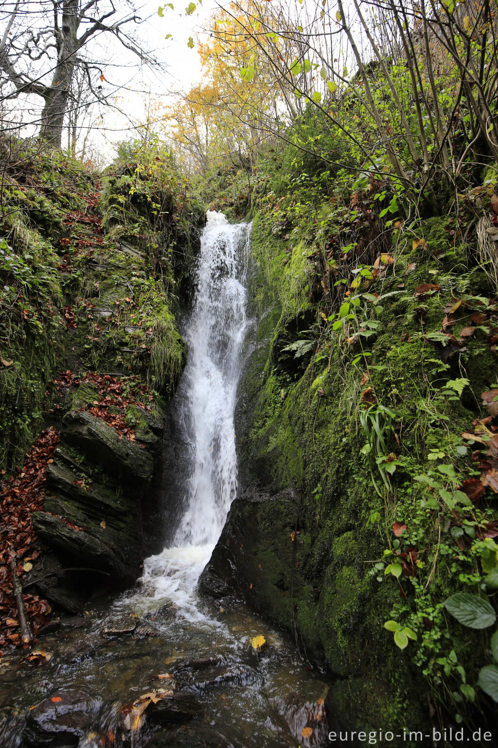 Detailansicht von Wasserfall bei Burg Reinhardstein im Tal der Warche