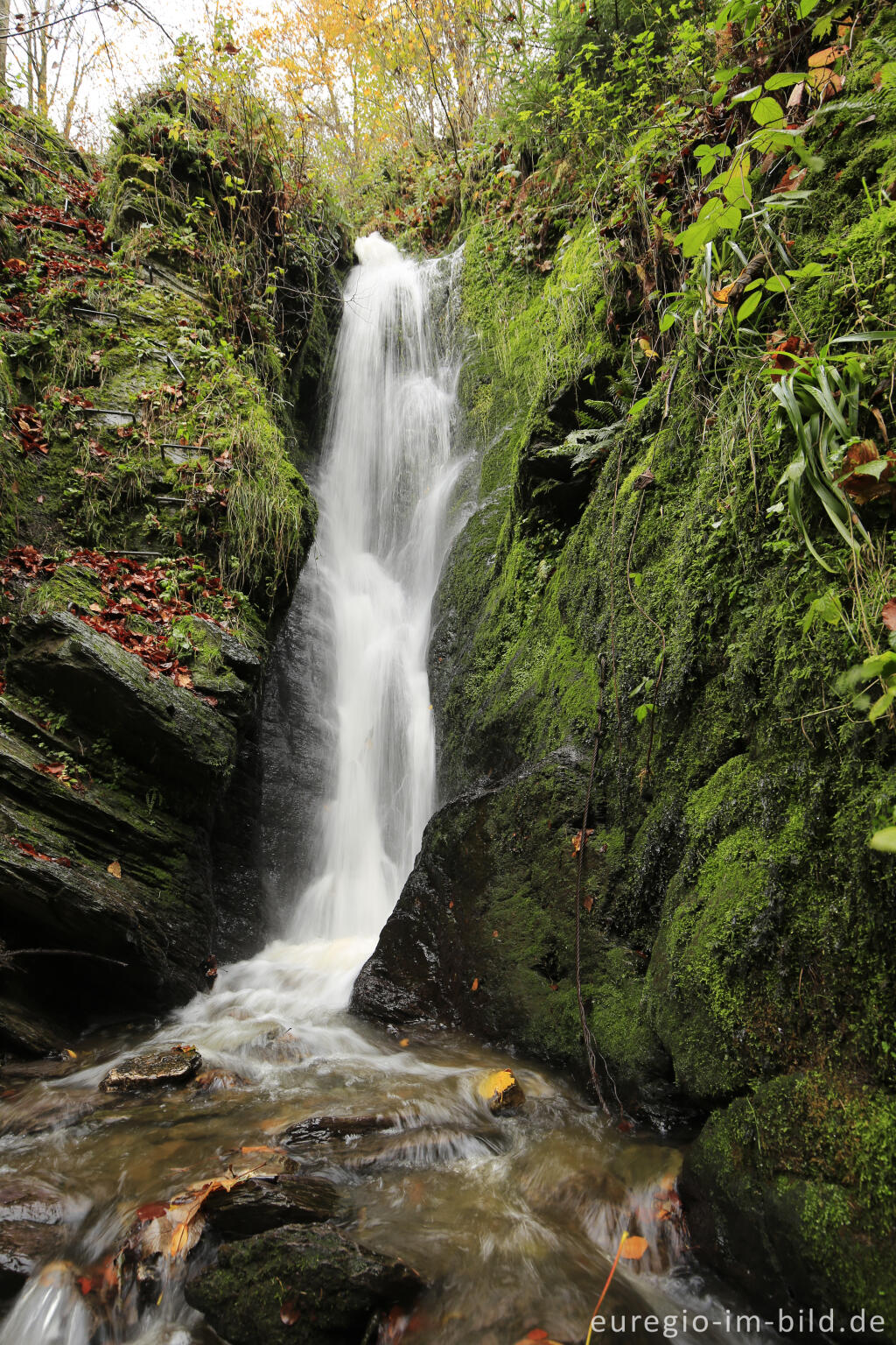 Detailansicht von Wasserfall bei Burg Reinhardstein im Tal der Warche