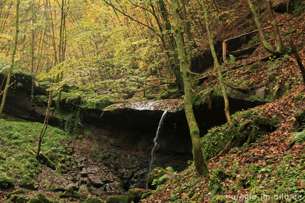 Detailansicht von Wasserfall im Butzerbachtal, Südeifel