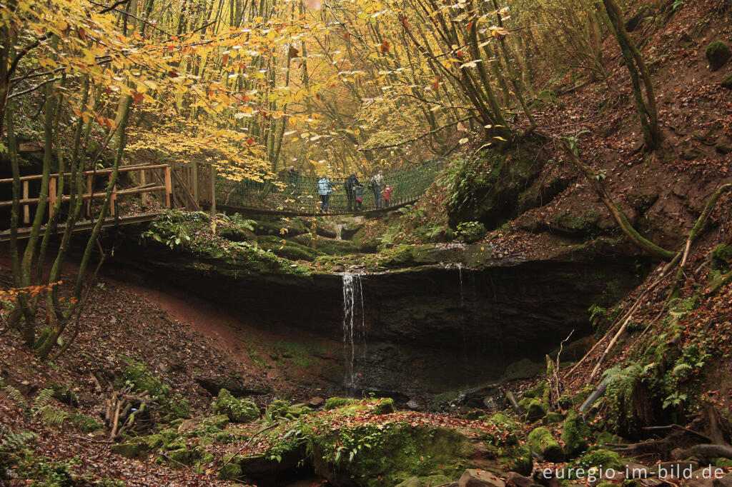 Detailansicht von Wasserfall und Hängebrücke im Butzerbachtal, Südeifel