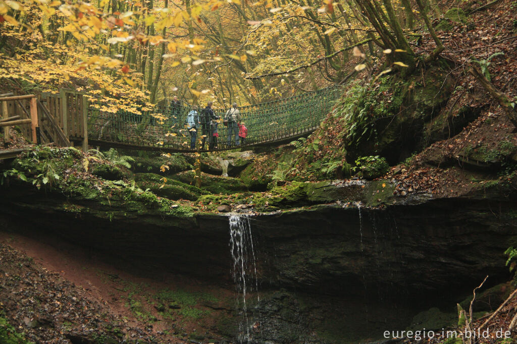 Detailansicht von Wasserfall und Hängebrücke im Butzerbachtal, Südeifel