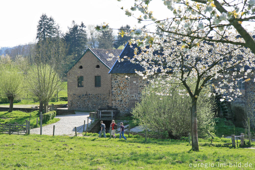 Detailansicht von Wassermühle "Volmolen" im Geultal bei Epen