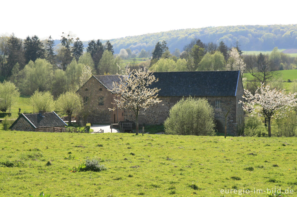 Detailansicht von Wassermühle "Volmolen" im Geultal bei Epen