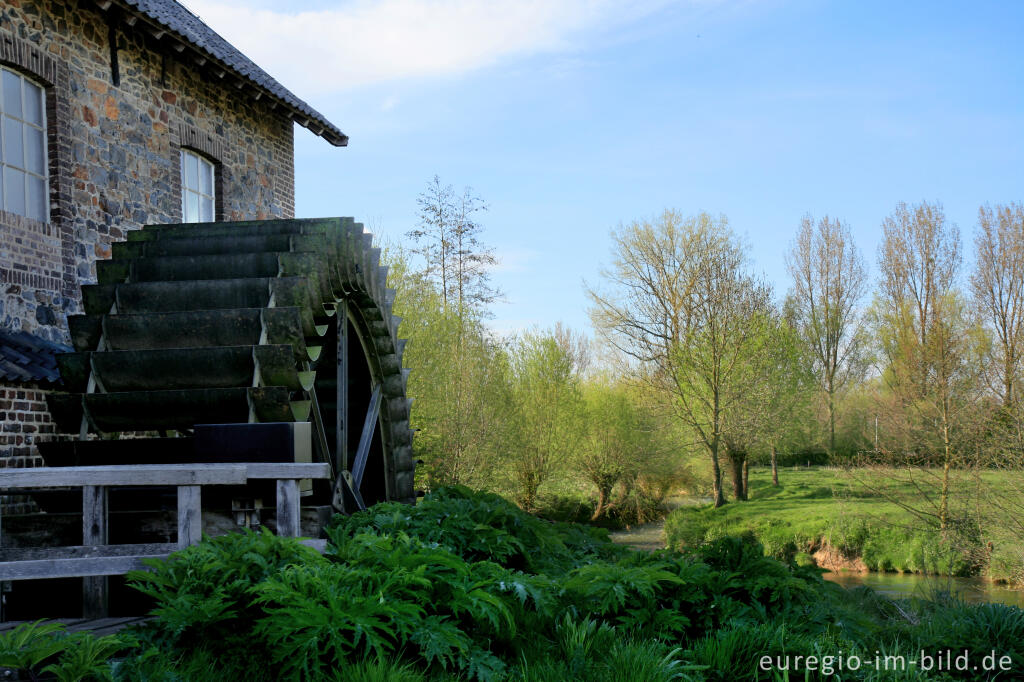 Detailansicht von Wassermühle "Volmolen" im Geultal bei Epen