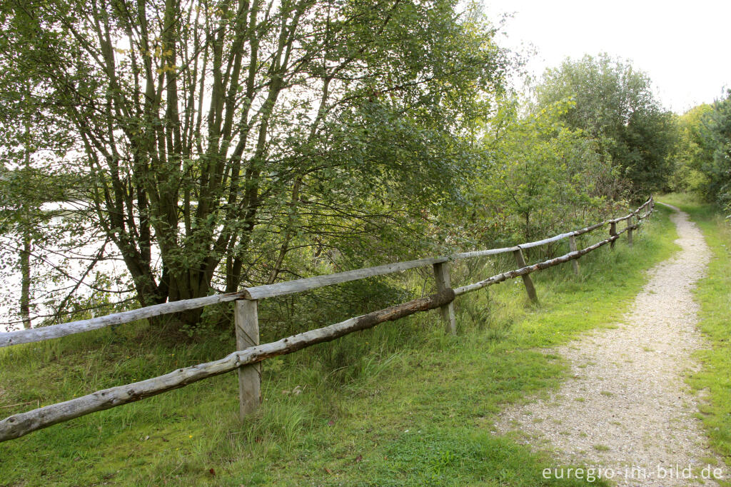 Detailansicht von Weg am Niederzierersee, Sophienhöhe