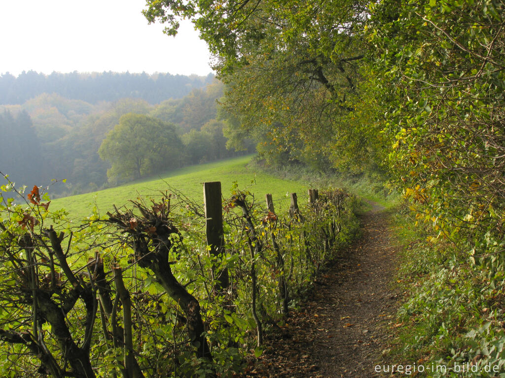 Weg am Rand des Friedrichwaldes, Aachen-Hanbruch