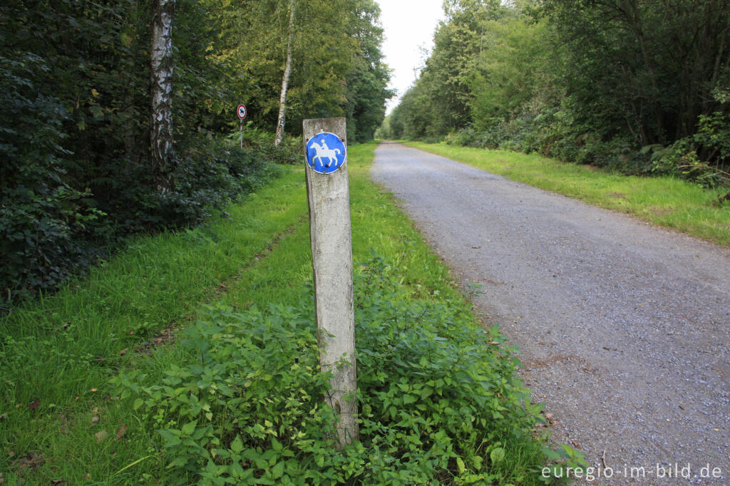 Detailansicht von Weg G und H am Fuß der Sophienhöhe