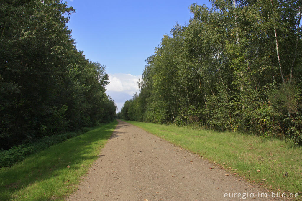 Detailansicht von Weg G und H am Fuß der Sophienhöhe