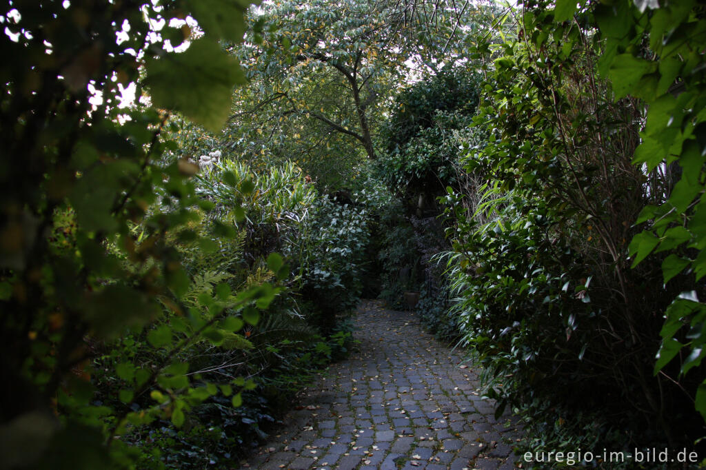 Detailansicht von Weg im Hortus Dialogus