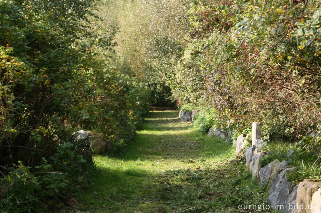 Detailansicht von Weg im Hospizgarten des Hortus Dialogus