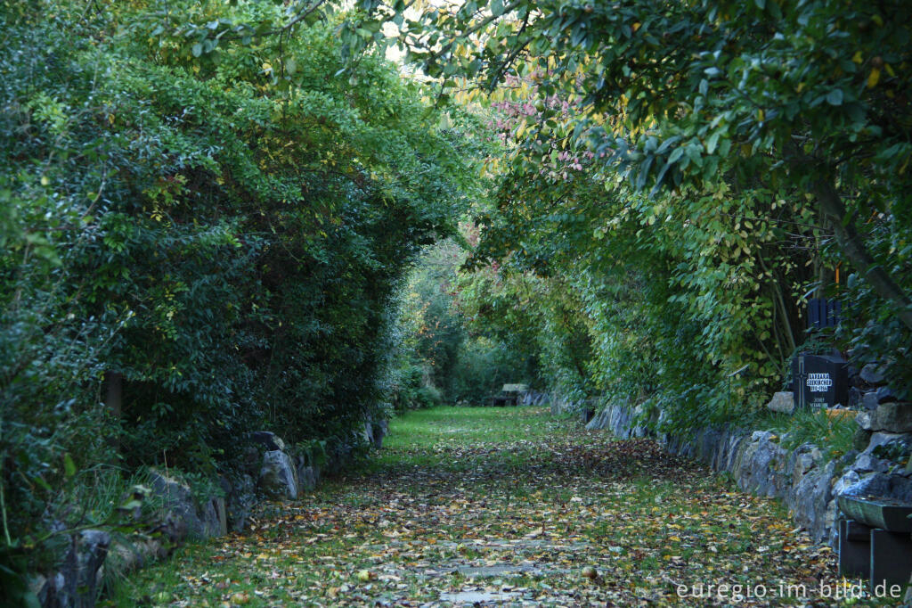 Detailansicht von Weg im Hospizgarten, Hortus Dialogus