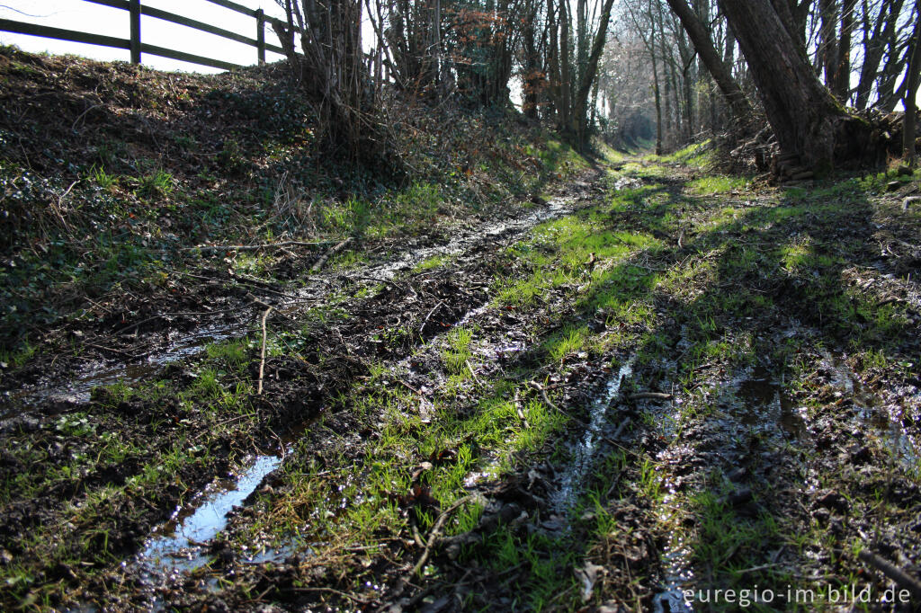 Detailansicht von Weg, Quellgebiet oder Bach? Limburgerweg, ein schöner, alter Hohlweg 