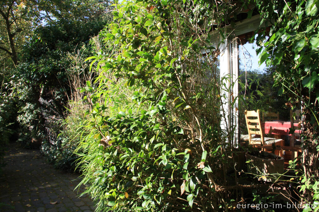 Detailansicht von Weg und Wohnhaus im "Hortus Dialogus", Nideggen - Abenden